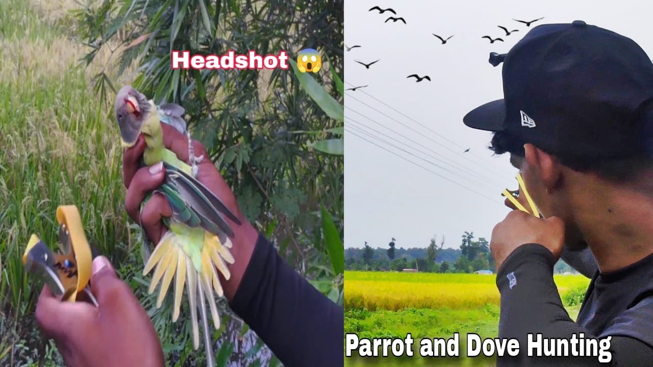 Unbelievable Bird Hunting with Slingshot 🎯 | Nepali Jungle Adventure