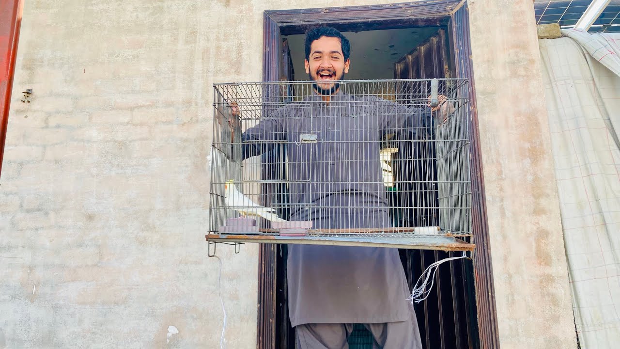New cage or parrot lay aya🥰