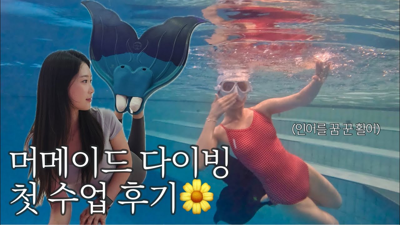 (4K)머메이드 다이빙 입문 | 자격증코스 |예뻐서 홀린듯이 등록해버린 머메이드 다이빙🧜‍♀️💜 |