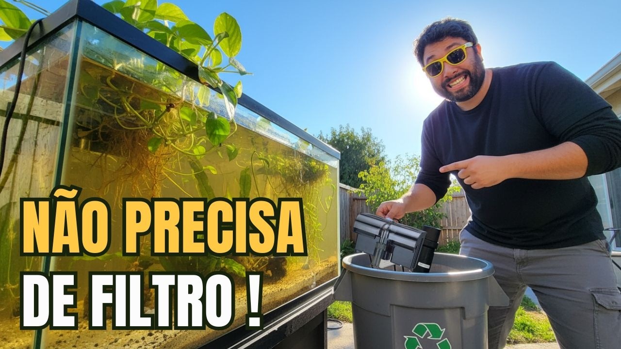 Esse Aquário se Auto Limpa e Nunca Precisa de Manutenção! Método Walstad + Father Fish