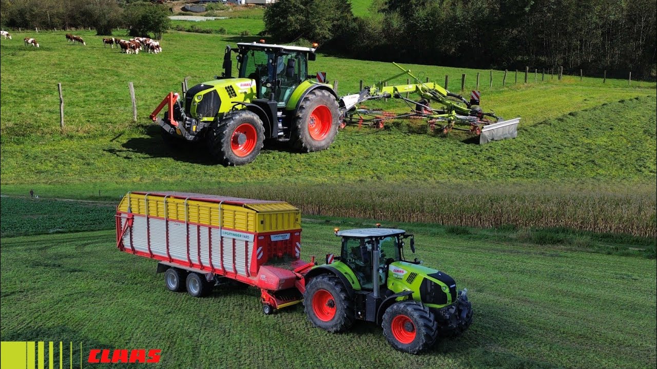 Du ramassage au stockage #2k24 de la 5ème coupe #claas Arion 650 et Axion 830
