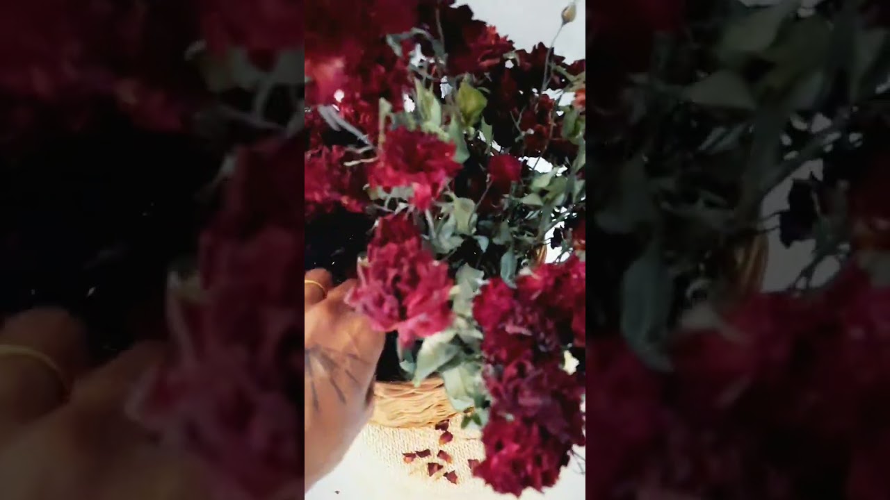 Don’t Throw Away Dried Rose Petals! Make Rose Powder 🌹