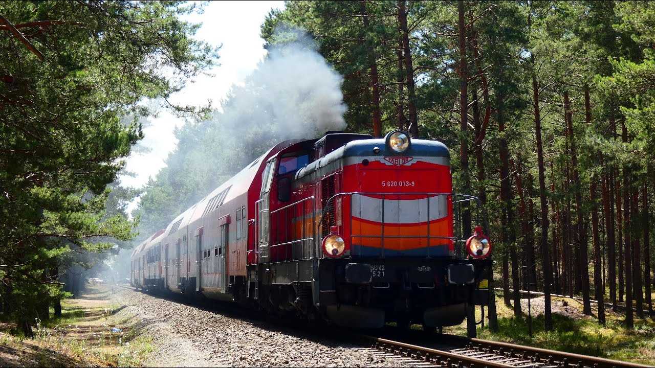 Pociągi na Półwyspie Helskim - lipiec 2022