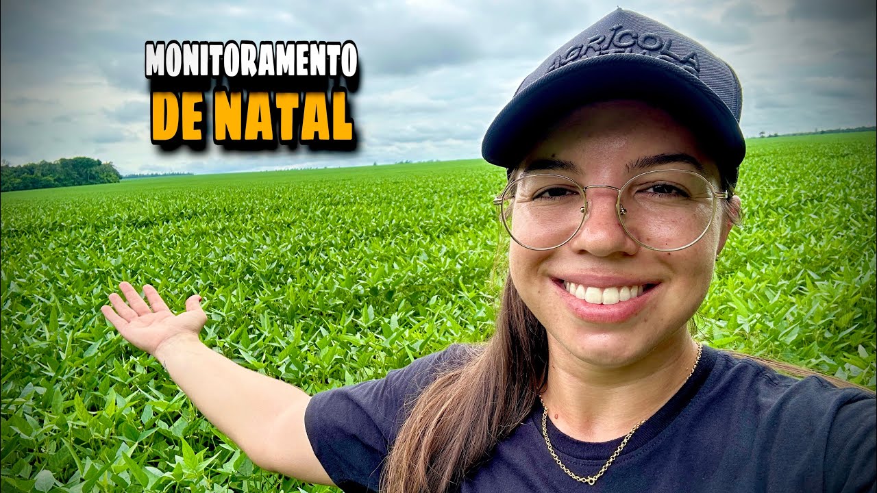 Último Monitoramento antes do Natal | soja Olimpo