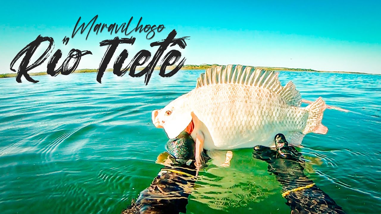 PESCA SUB RIO TIETÊ MARAVILHOSO - EQUIPE ATASUB