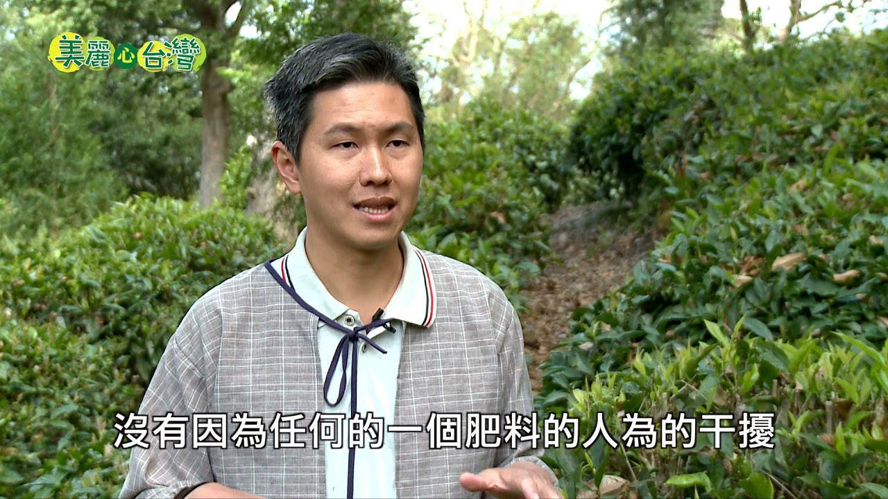 【高雄六龜】珍愛山茶天然原味 李勇德夫婦堅持自然農法  | 有機無毒 | 264 | #美麗心台灣
