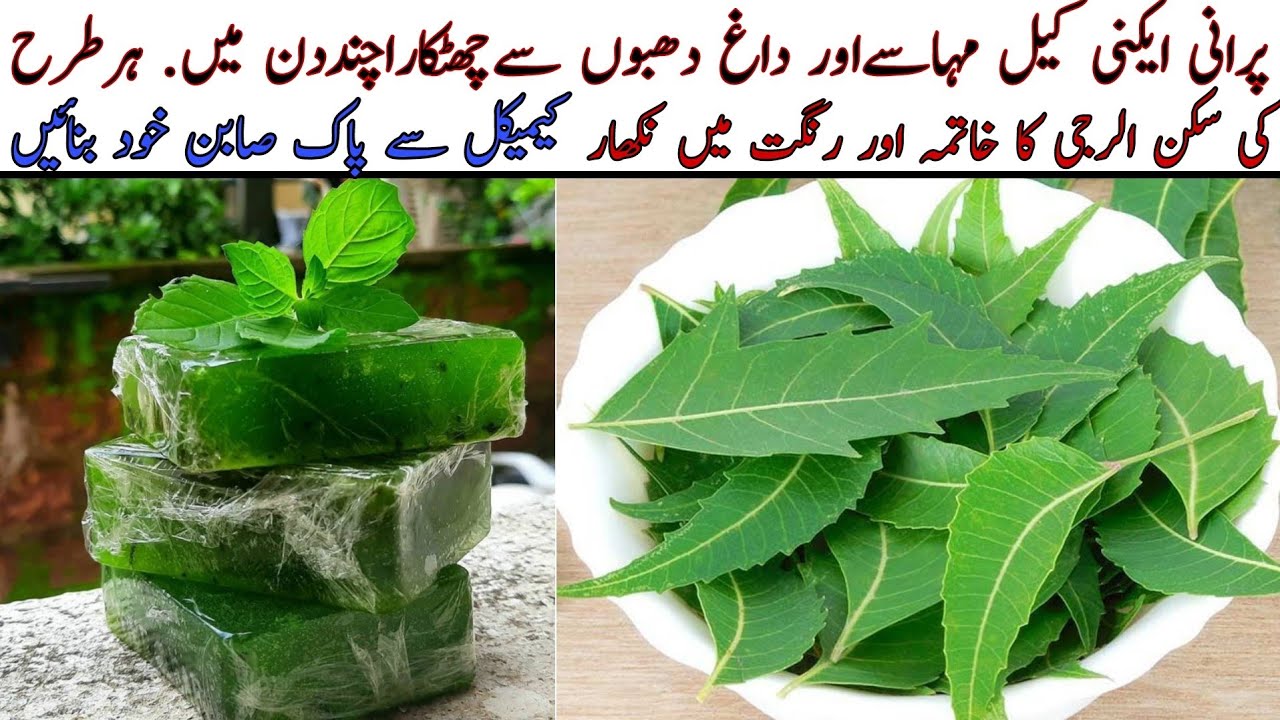 Acne Treatment at Home | Pimples removal on face at Home | How to make Neem Soap at Home |