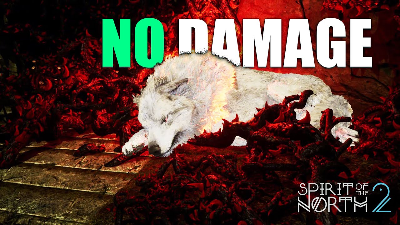 Spirit of the North 2 Temple of the Wolf & Den of the Alphas Full Guide & Wolf fight Boss