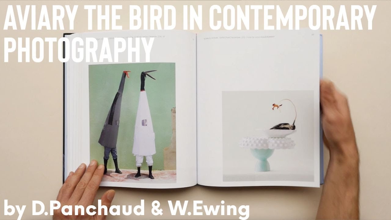 Aviary The Bird in Contemporary Photography by D.Panchaud & W.Ewing