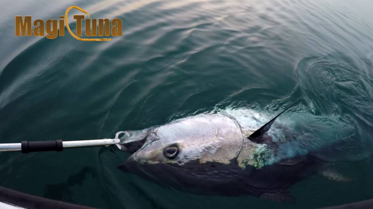 Tonno Spinning (Over 100) MAGIC TUNA Sardina165 mm