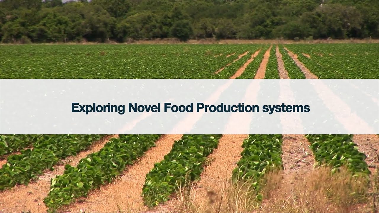 Exploring Novel Food Production Systems (Alternative Proteins)