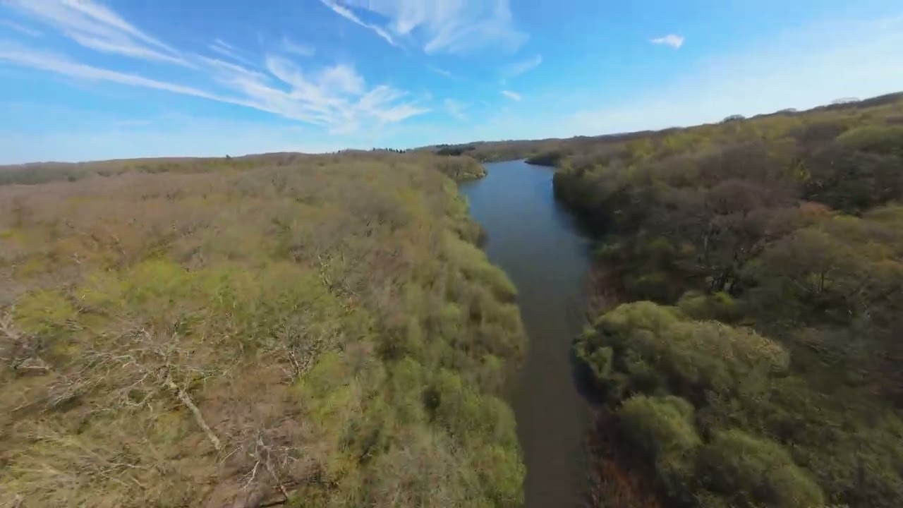 Spring in Brede High Woods | FPV Aerial Views | Bluebells, Anemones & Reservoir