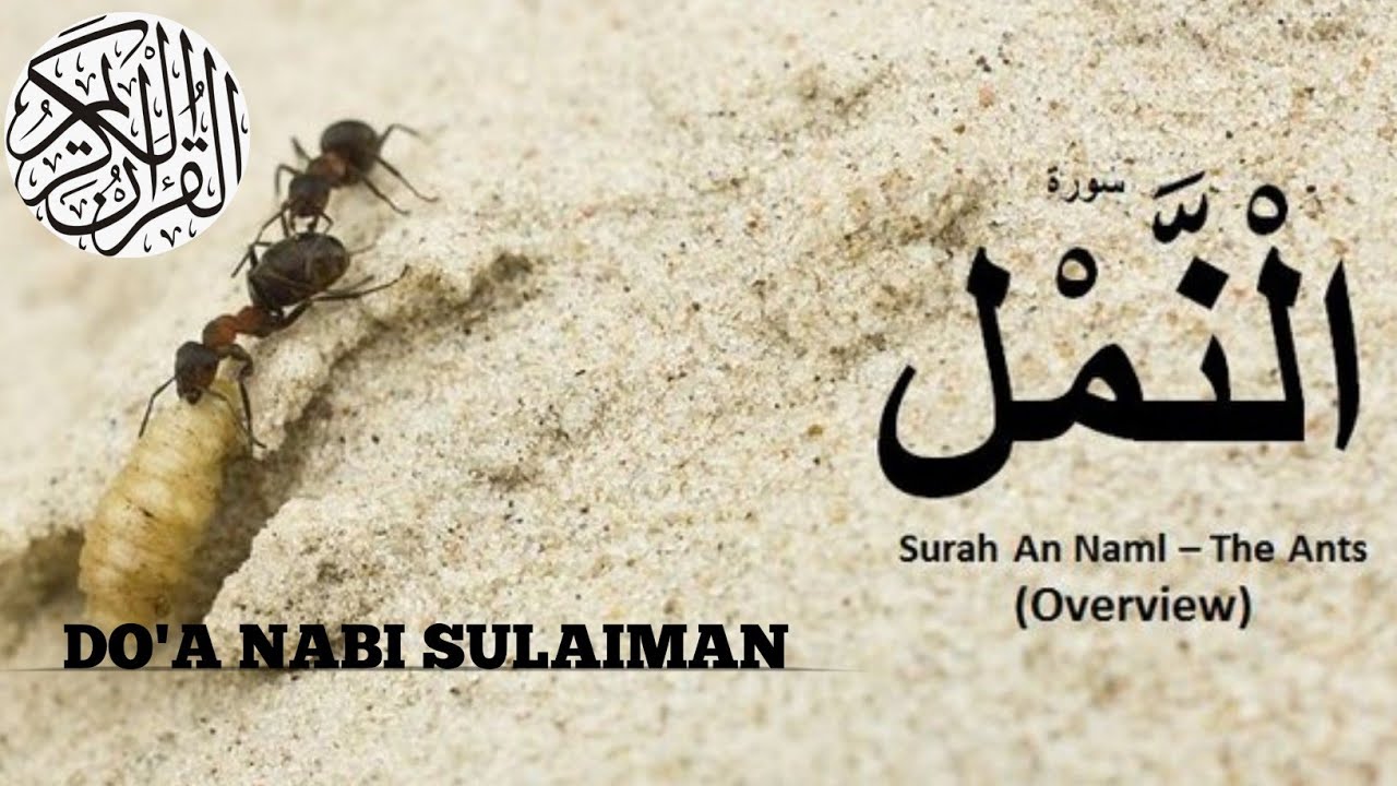MUROTTAL QUR'AN MERDU SURAH AN-NAML || Do'a Nabi Sulaiman Menundukkan Hewan & Jin