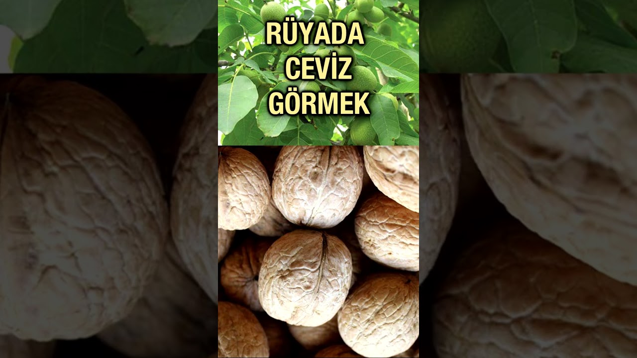 Rüyada Ceviz  Görmek - Ceviz  Rüyası tabiri - Dini Rüya Tabirleri