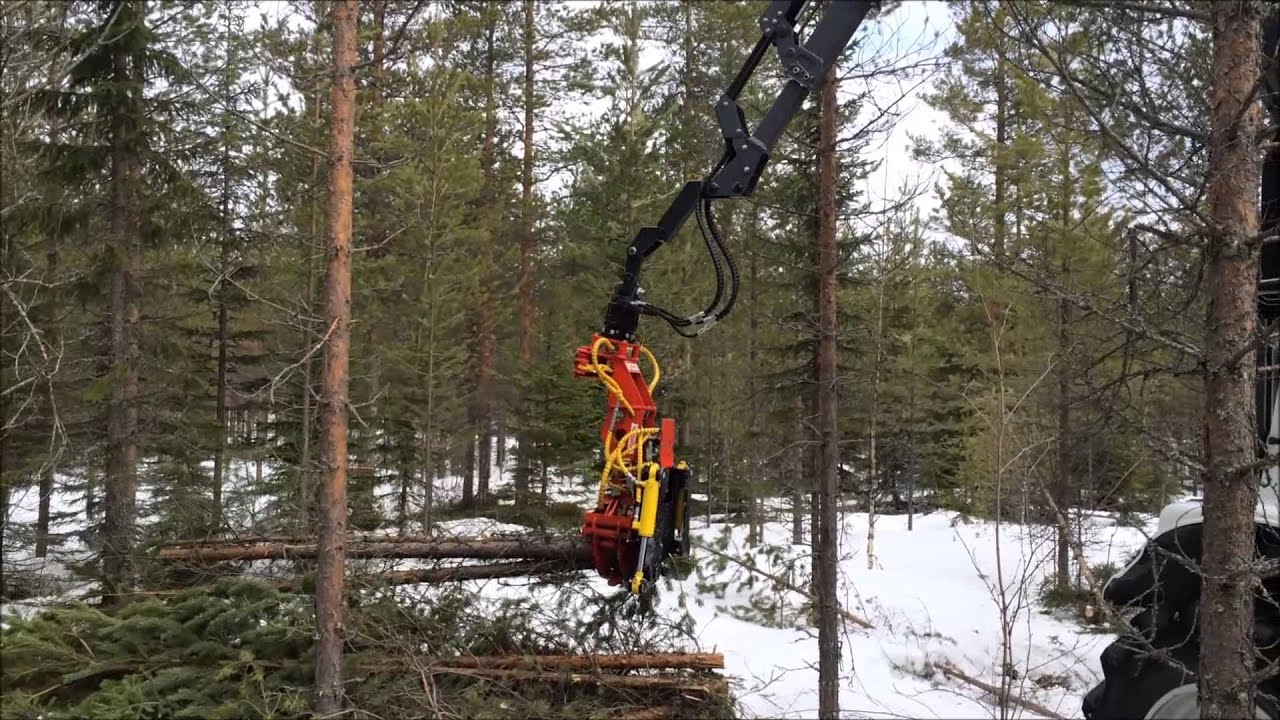 Naarva E24 felling head and Valtra T163 - Naarva E24