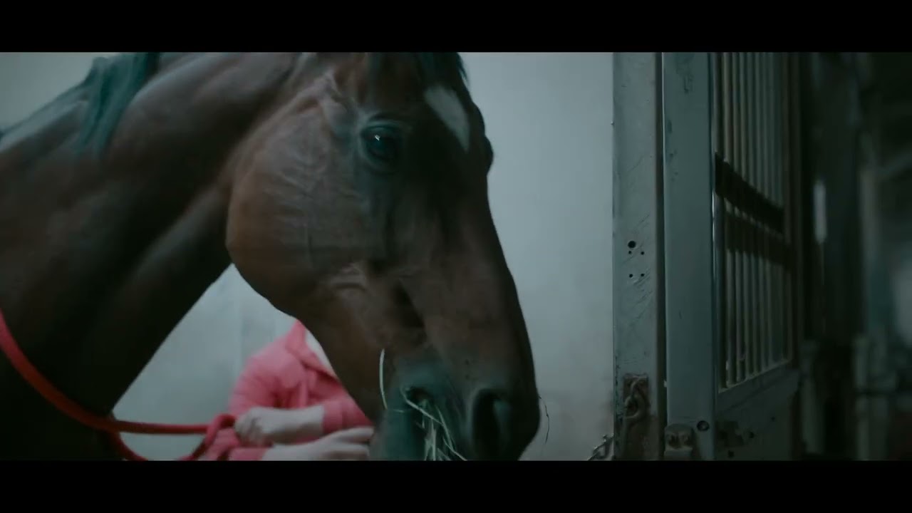 At Red Bucket Equine Rescue, every moment matters