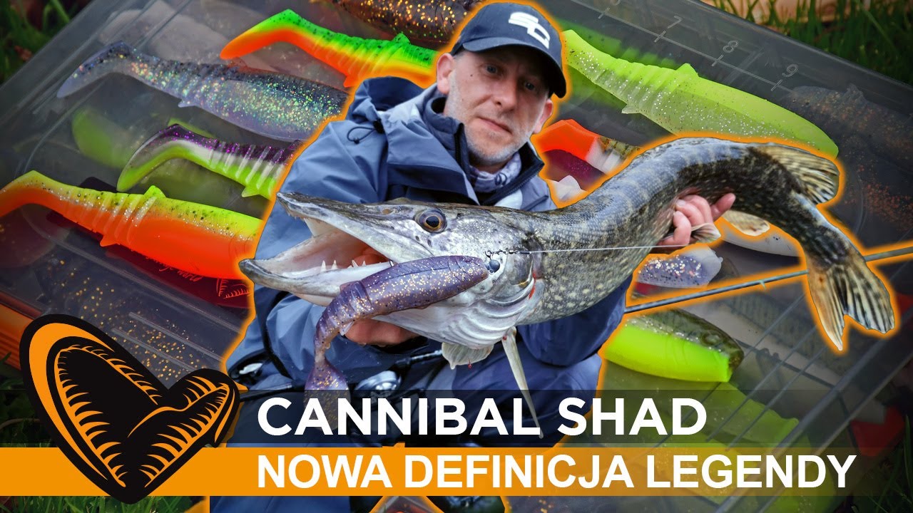 💥💥💥 #CannibalShad 💥💥💥 nowa wersja legendarnej gumy #Cannibal 🎣 // #SavageGear