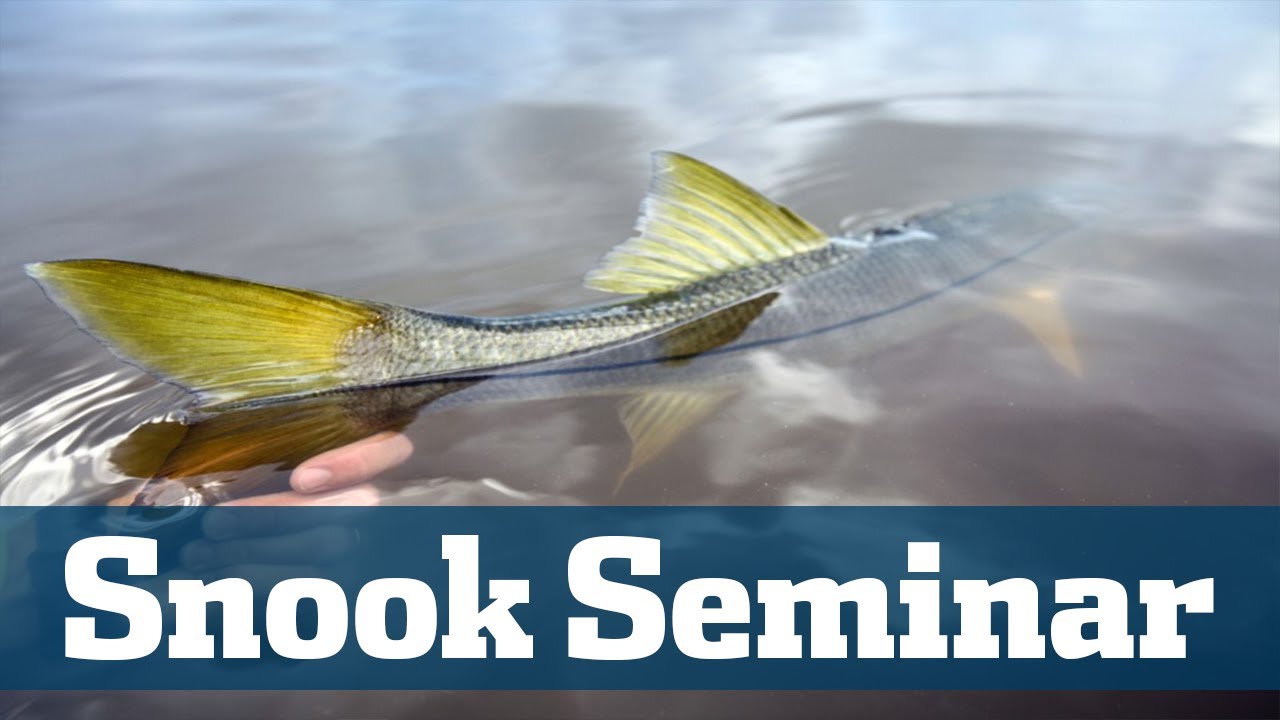 South Florida Snook Seminar - Florida Sport Fishing TV - Best Rigs, Baits, Locations