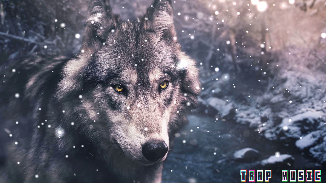 Nick Kech & John Rous - She Wolf (Bootleg)