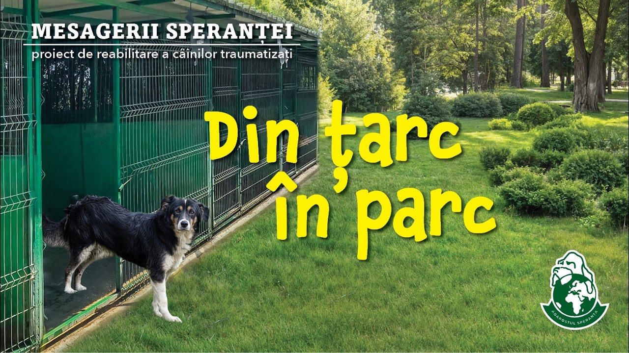 Din țarc, în parc! - Bubu