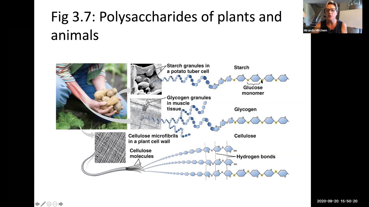 Bio 110 MOD 5 Lecture