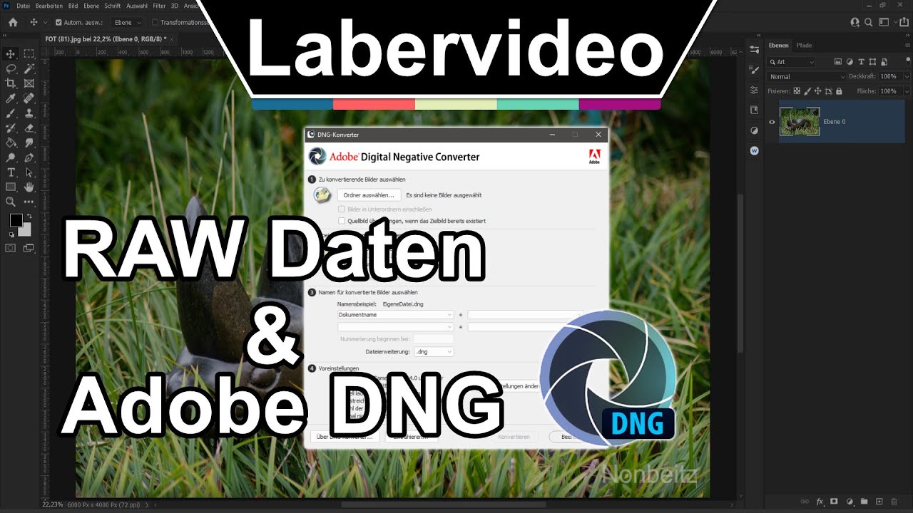 #12 Labervideo I RAW Daten & Adobe DNG I Vorteile & Nachteile