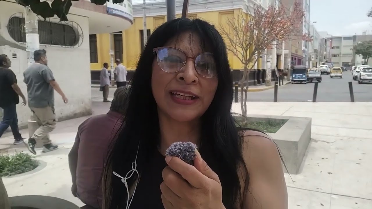 Exposición de Arte de la ANEA Ica en el boulevard Víctor Pacheco Cabezudo