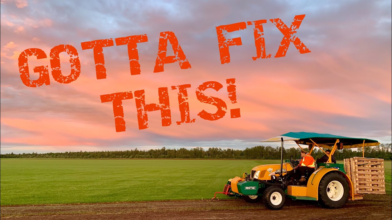 Kesmac sod harvester repair Sod rolls are too long, gotta fix that