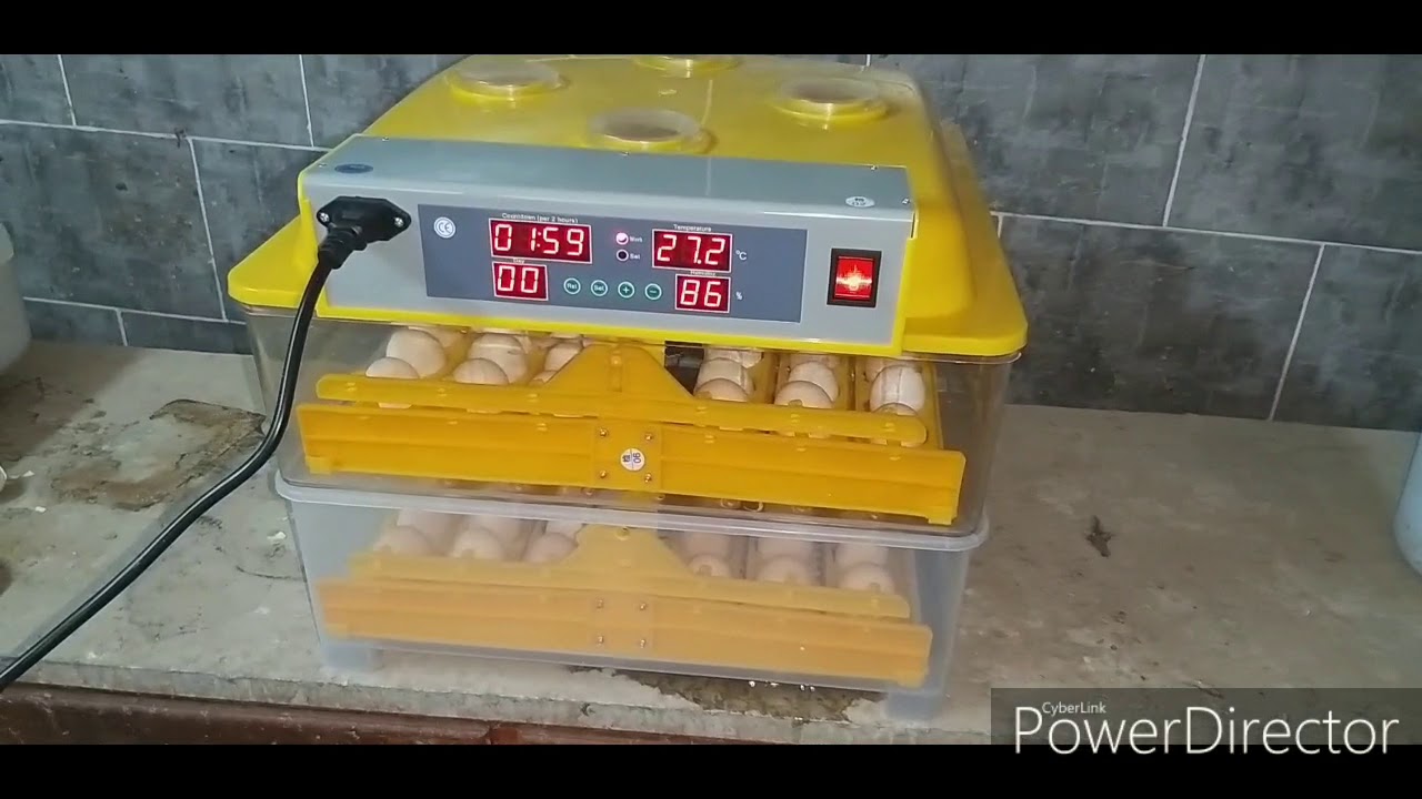 96 egg automatic incubator working and operation