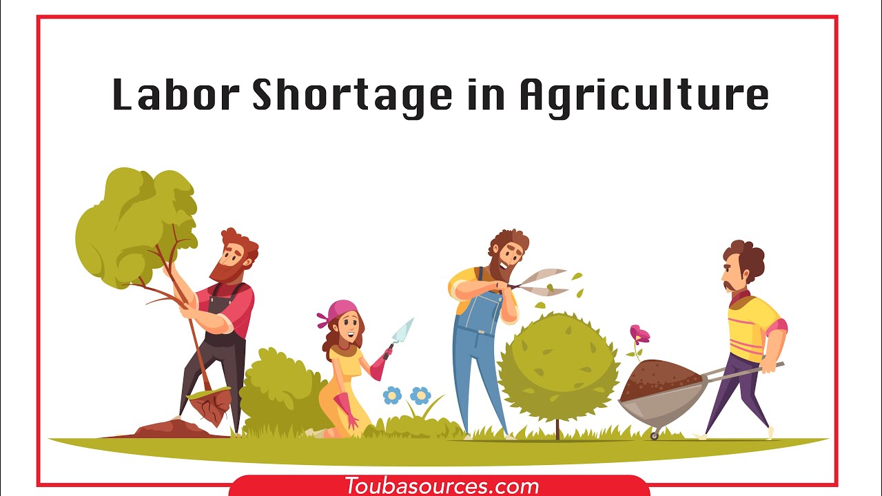 Labour Shortage in Agriculture