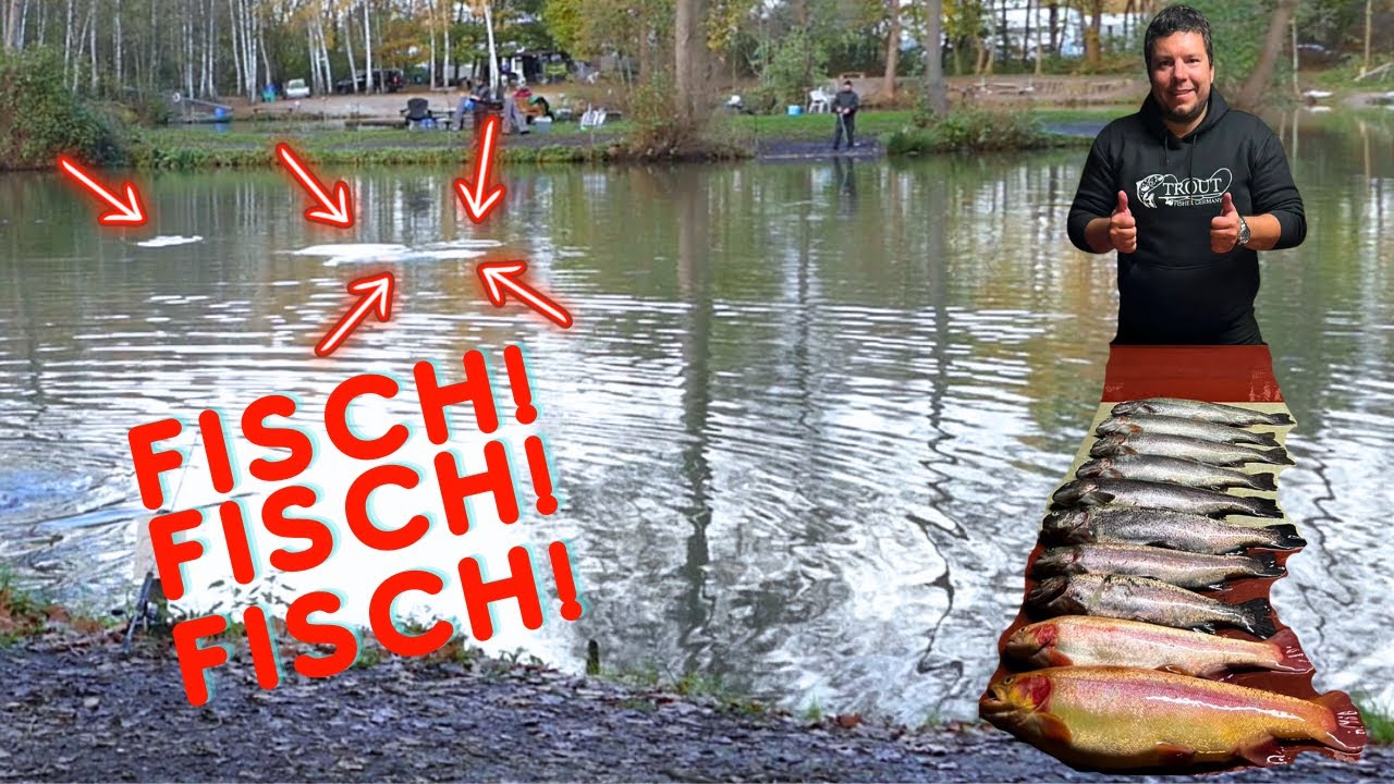 Hinten kackt die Ente!!! Die Maracas zündet durch und bringt zum Glück nochmal richtig Forellen.