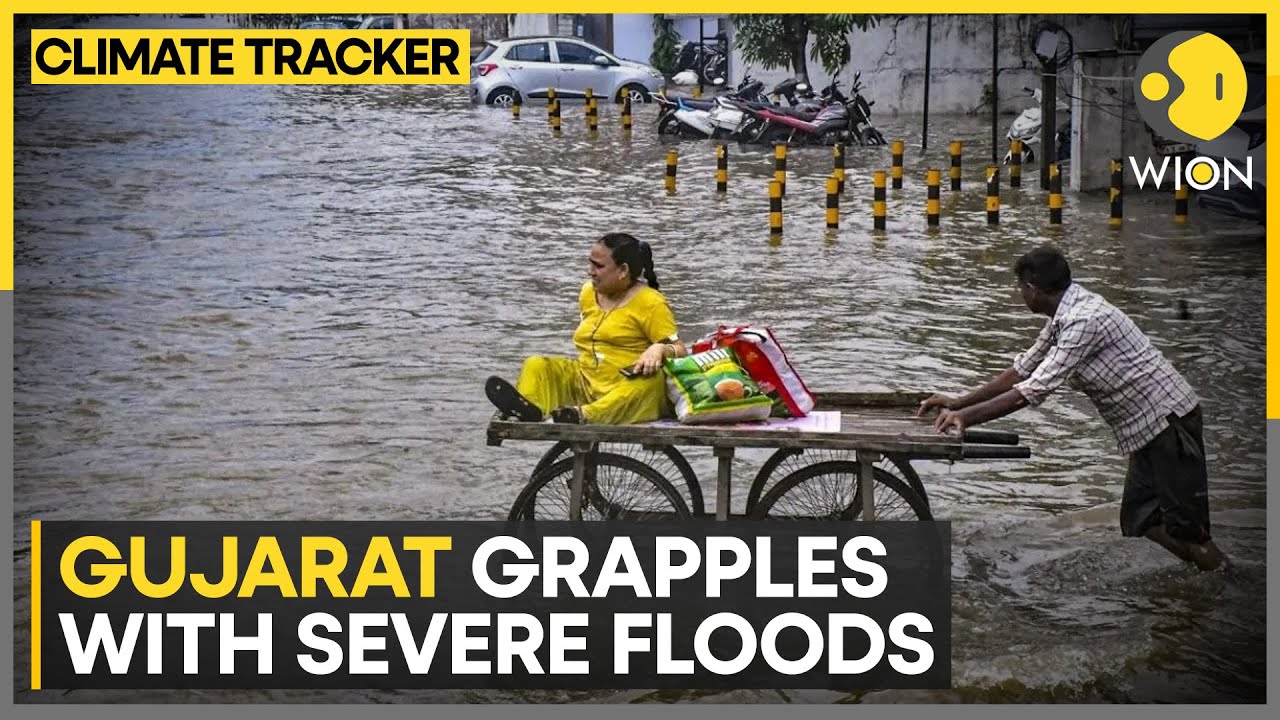Gujarat Floods: IMD issues 'red' alert, heavy rain to continue | WION Climate Tracker | WION News