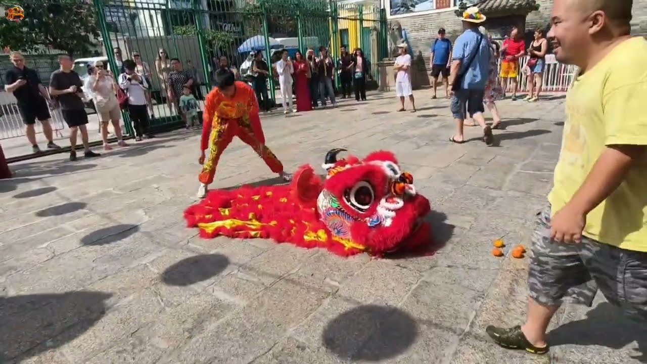 舞狮舞龙 2026年 天后圣母 胜英堂龙狮团 开光典礼