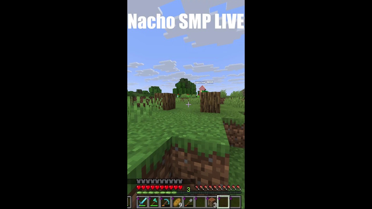 🔴NACHO SMP LIVE WITH OTHER VR CREATORS!🔴