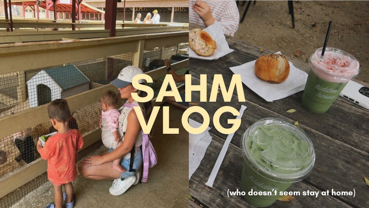 SAHM VLOG: petting zoo & matcha date with friends, I got a sewing/embroidery machine!!!