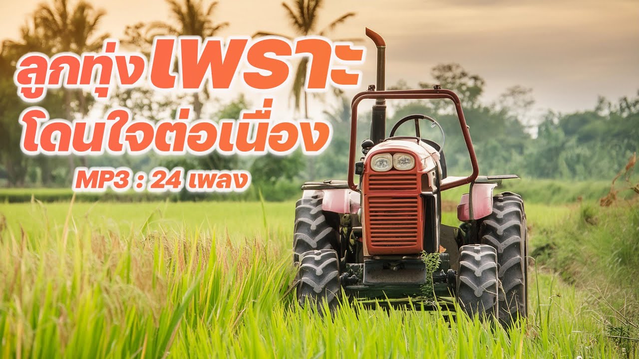 ลูกทุ่งเพราะโดนใจต่อเนื่อง | MP3 : 24 เพลง