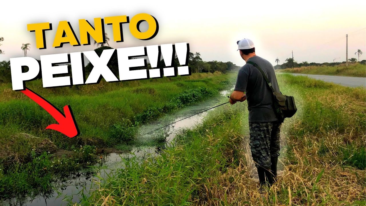 NUNCA DUVIDE DE UM VALO NA BEIRA DA ESTRADA!!! Pescaria de  TRAIRAS com iscas de SUPERFÍCIE 4K