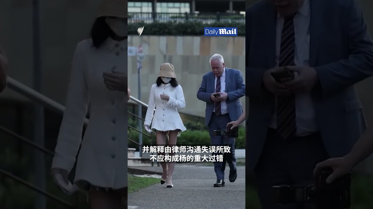 杨兰兰案最新进展，对酒驾等两项最新指控不认罪|SBS中文