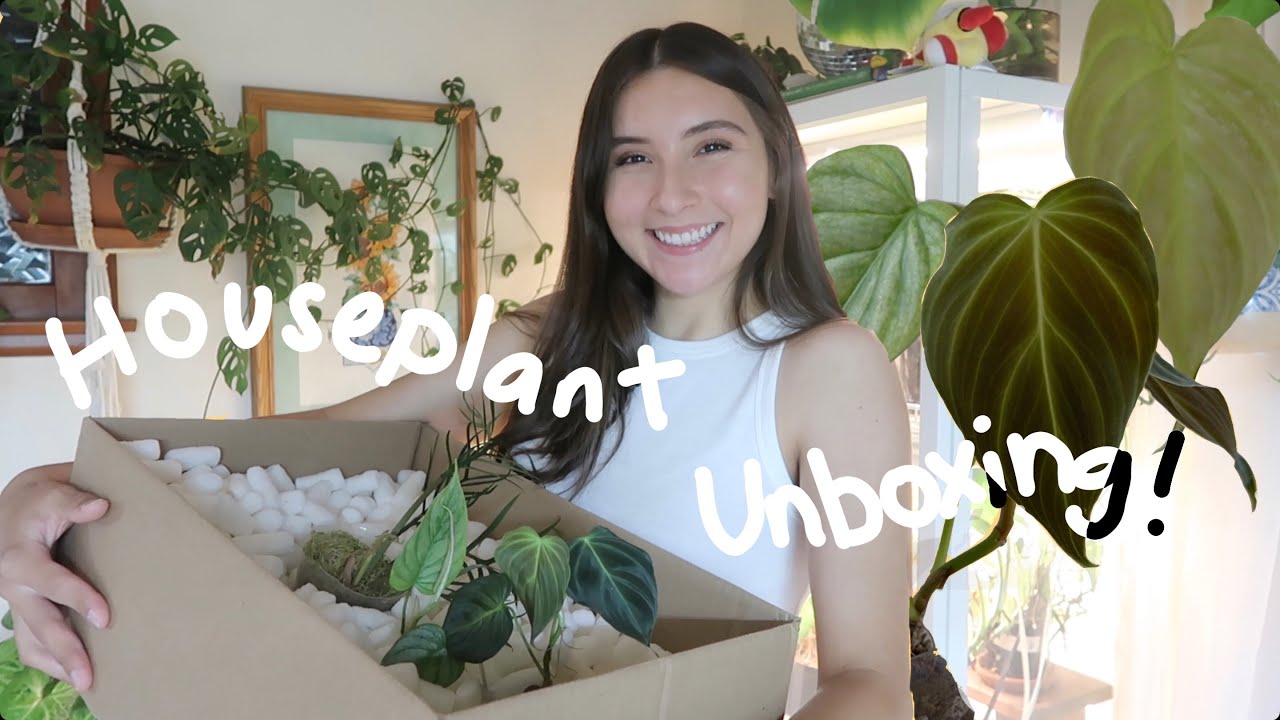 Philodendron Haul 🤩✨