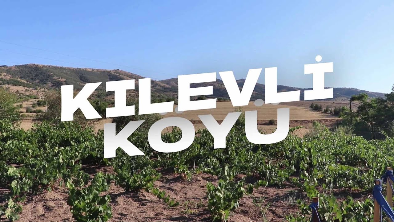 Geleneksel Yahşi Medya & Yenigün Gazetesi Pikniği | 3 (2025)