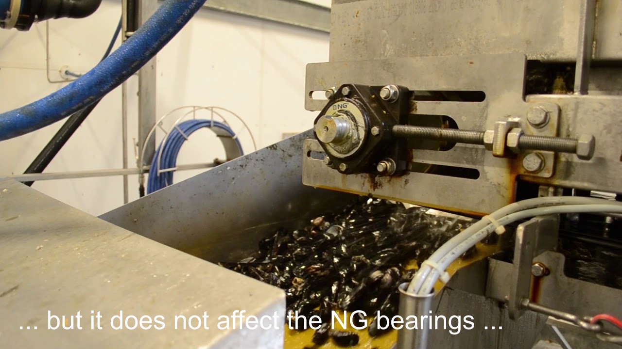 BJ-Gear A/S solves challenges in the production of mussels