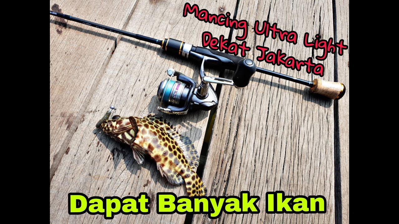 Mancing Dengan Piranti Ultra Light Sekitaran Jakarta cuma 30 Menit Dapat Banyak