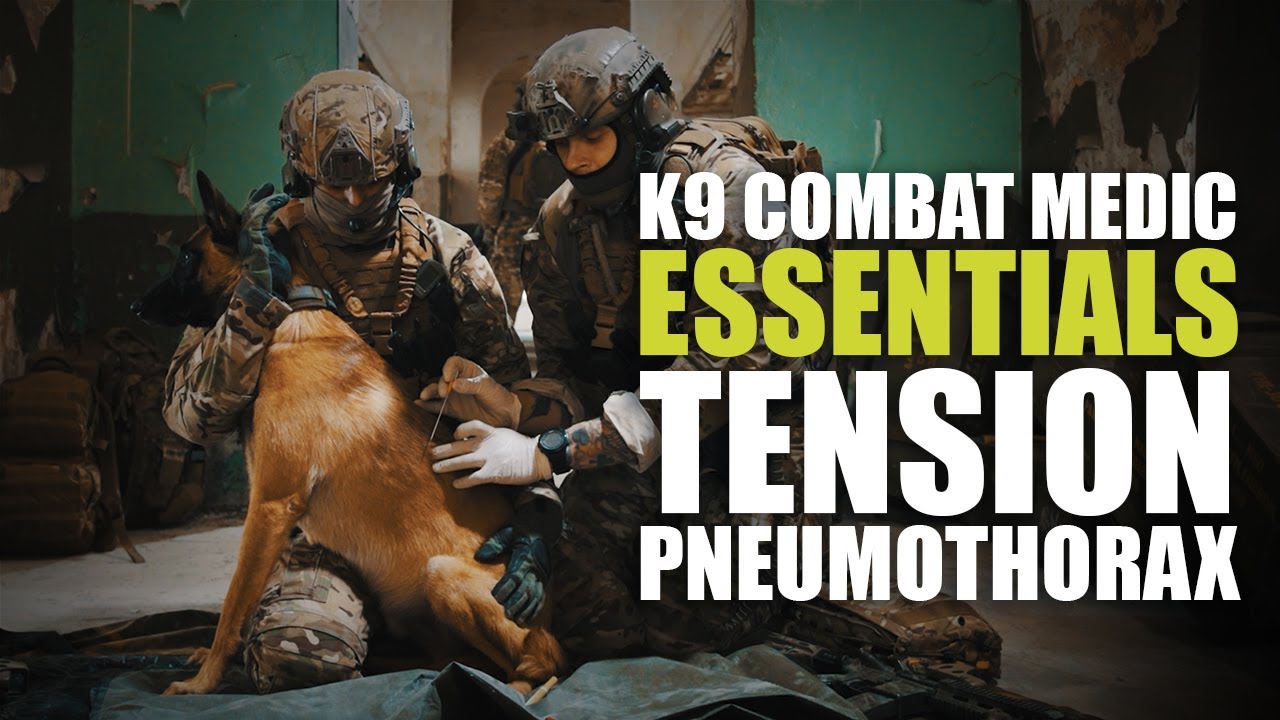 Pro's Guide to K9 Combat Medic Essentials | Tension Pneumothorax