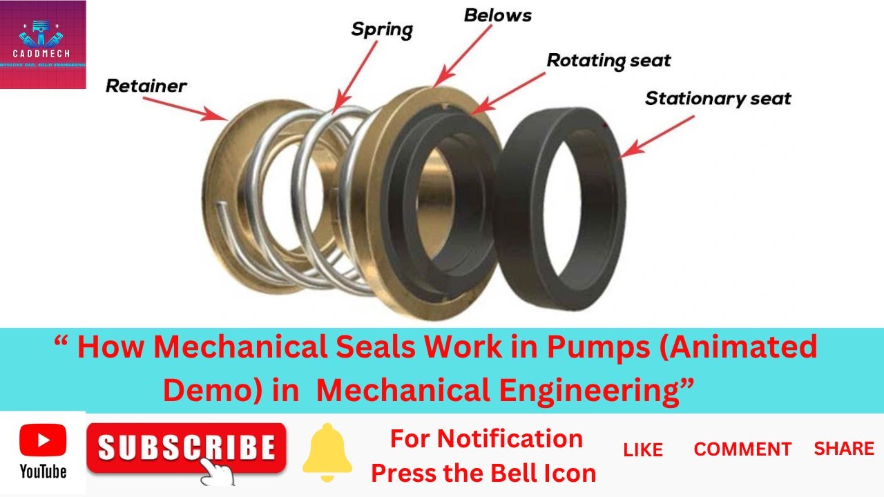 Mechanical Seals Explained  The Secret