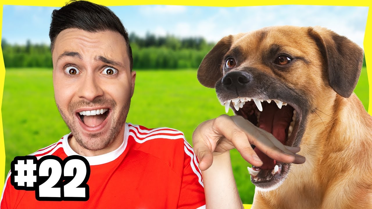 24 Honden Mythes Ontmaskeren! *Experiment*