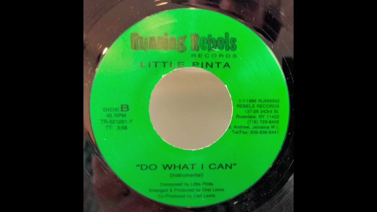 LITTLE PINTA - DO WHAT I CAN (INSTRUMENTAL) RARE NY DANCEHALL DUB 1996!