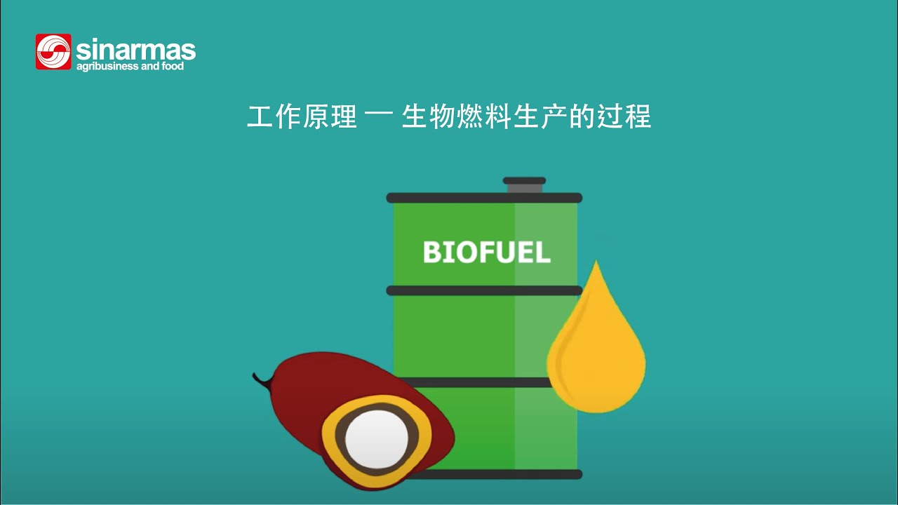 How it works - Biofuel production process (Chinese subtitles)