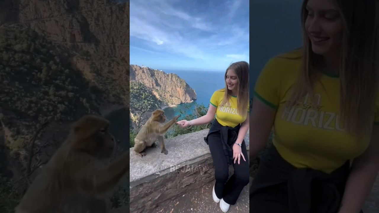 جولة في كاب كاربون ببجاية 🐒 #bejaia #algeria #بجاية