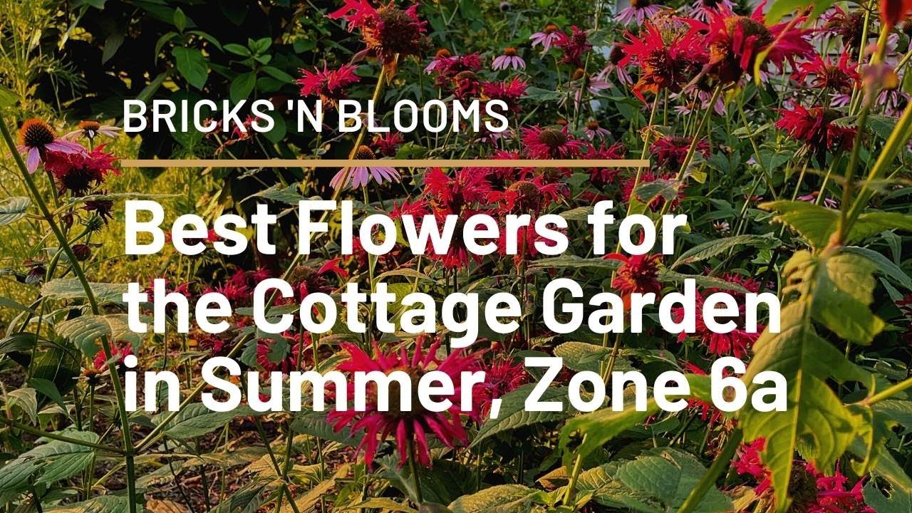 Best Flowers for the Cottage Garden in Summer, Zone 6a 🌸 // Bricks 'n Blooms