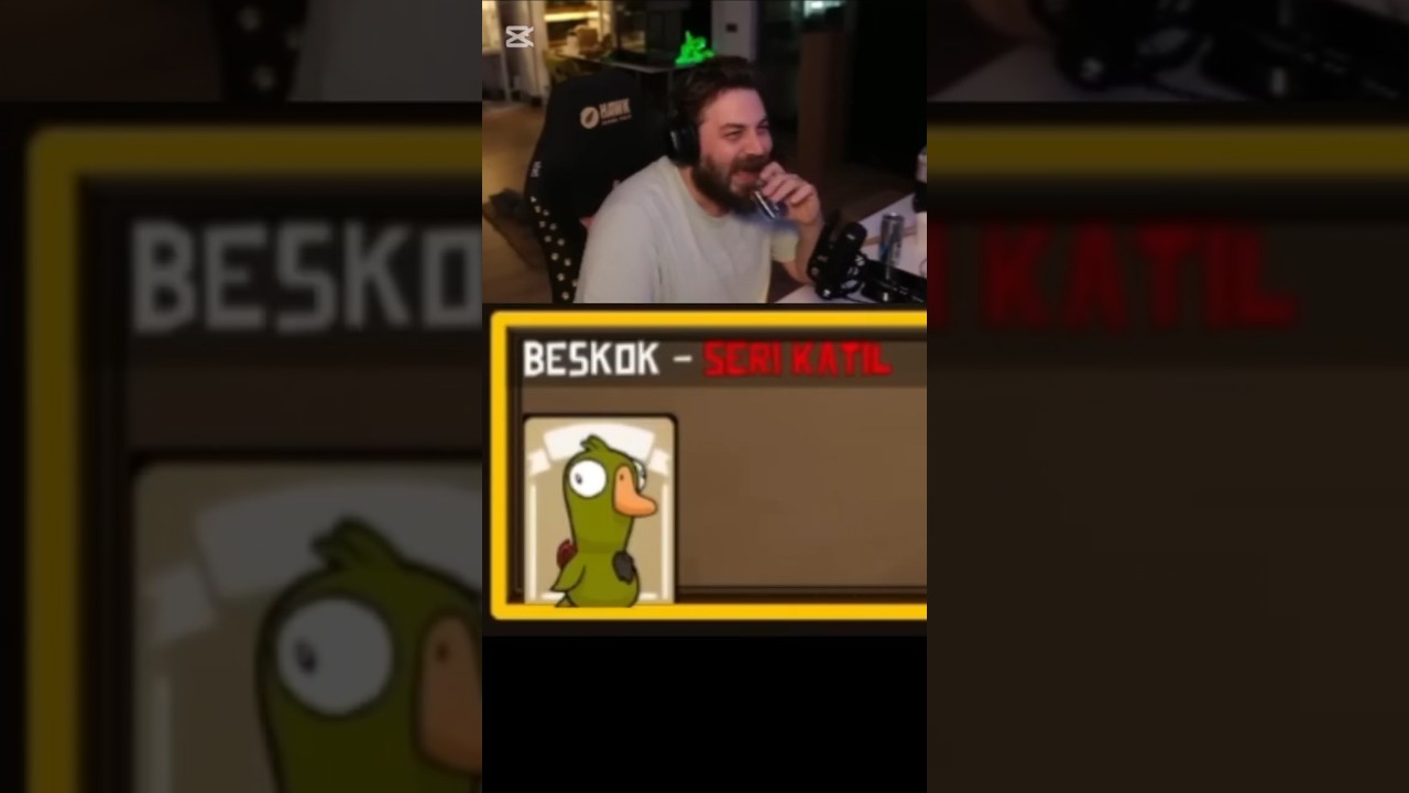 Elraenn RRaenee katliam yapıyor! | goose goose